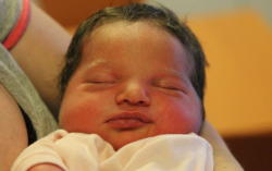 Molnár Jázmin Dorka 