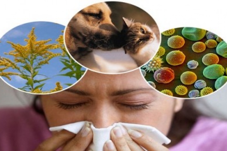 Pollenjelentés - már javában tart az allergiaszezon
