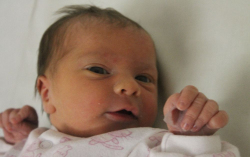 Sebestény Léna Maja