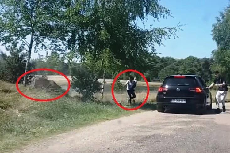 Gepárdok támadtak meg egy családot