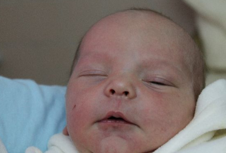 Fazekas Krisztofer Máté