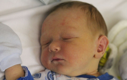 Szili Bence László