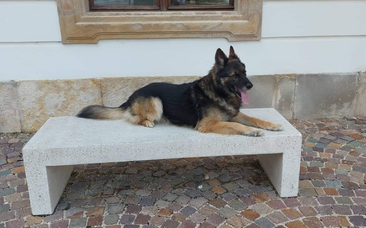 Elment Lendon, az életmentő németjuhász