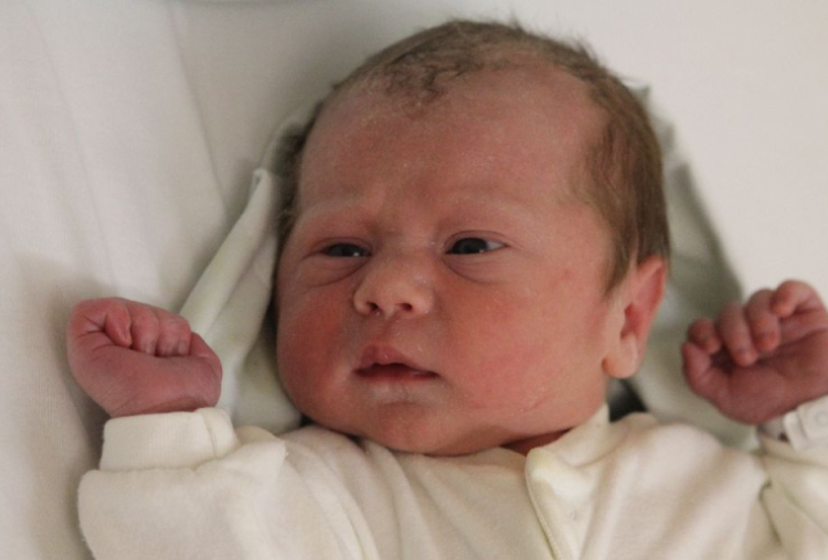 Horváth Pataki Tamás