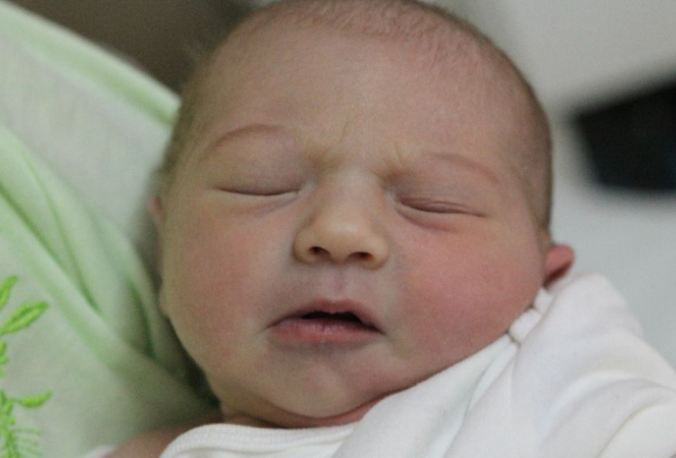 Gábor Hajnalka Melinda