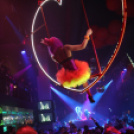 Vertigo @ New Years Eve 2014.12.31. (Szerda) (Fotók Vertigo)