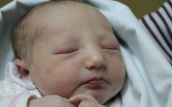 Hergenrőder Jázmin