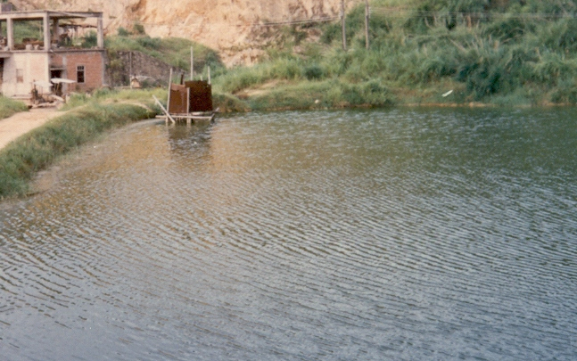 Életfogytiglant kaphat a gyermekét tóba dobó nő