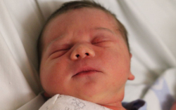 Czinkóczi Dénes Márk 