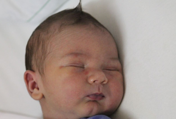 Fonódi Adrián Gábor 