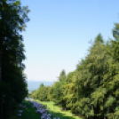 Lendvai Anna megmászta a Kékest! Kékes-túra 2016. szeptember 3. Photo: MakaiFotó