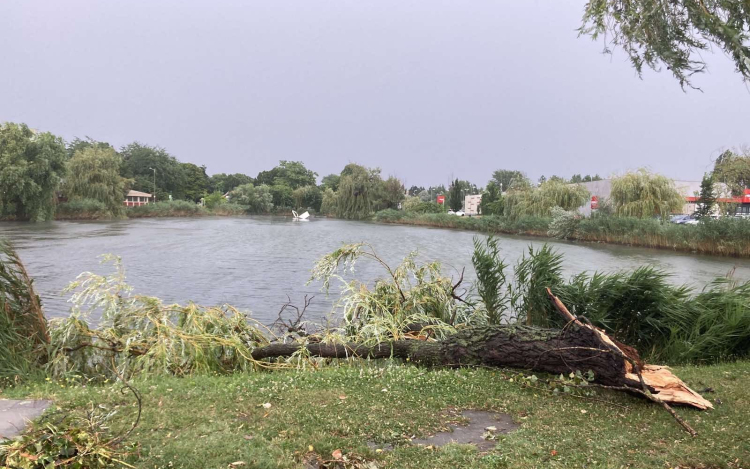 Viharkárok adnak munkát a tűzoltóknak