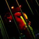 Club Vertigo - All 4 Ladies 2013.12.28. (szombat) (Fotók: Vertigo)