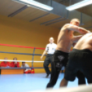 2013.02.16.Szombat Profi MMA És Box Mérkőzés Fotók:árpika