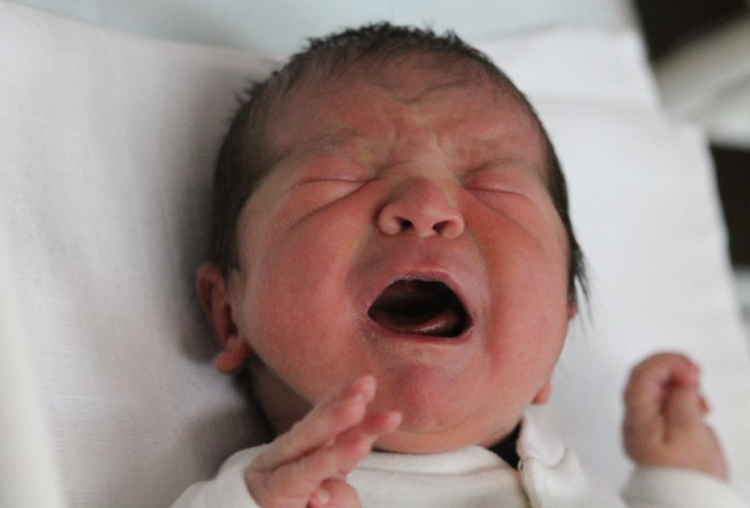 Erbele Zoltán Tamás 