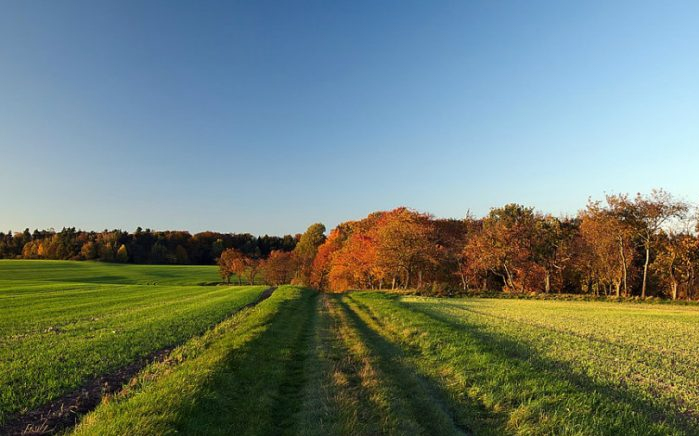 Tavasz a télben: Nem minden napi meleg lesz