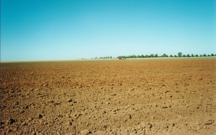 Földhasználat - Bejelentési kötelezettség a jövő hónap végéig