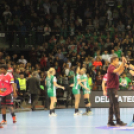 2017.11.17.Győri Audi Eto Kc- Brest Breategne női Bl Kézilabda mérkőzés Fotók:árpika