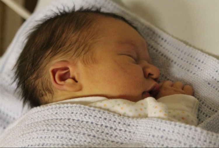 Szabó Gergely Nimród 