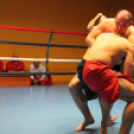2013.02.16.Szombat Profi MMA És Box Mérkőzés Fotók:árpika