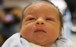 Tichi József Róbert 