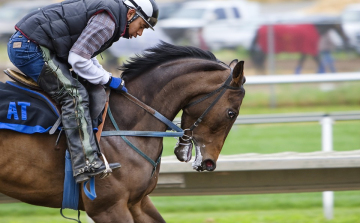 Élő tv-sportközvetítések - Péntek, szombat, vasárnap
