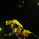 Club Vertigo - 5 Years Gone w/ Sterbinszky 2013.03.16. (szombat) (2) (Fotók:Vertigo)