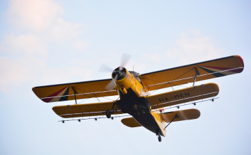 Megkezdődik a szúnyoggyérítés