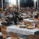 2015.05.09. Profi MMA Gála fotók:árpika