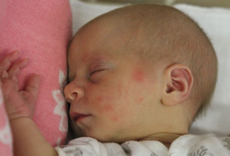 Schreiner-Formaggini Panna 