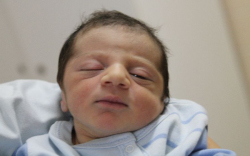 Kőfalvi Csaba Róbert Kincső