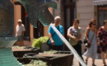 Ön hogy védekezik a kánikula negatív hatásai ellen?