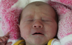 Solymári Daniella Rebeka