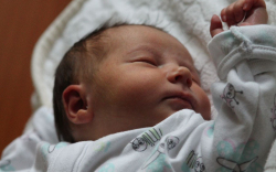 Horváth Ramóna Éva 