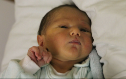 Vass Dávid Krisztián 