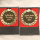 2020.01.18 VI.Varga András női kézilabda emléktorna Öttevény Fotók:árpika 