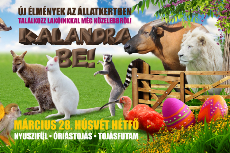 Kalandra BE! - Húsvéti mulatság a győri állatkertben