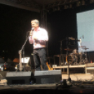 2018.08.19. Győr Augusztus 20. 2. nap Fotók:árpika 