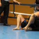 2013.02.16.Szombat Profi MMA És Box Mérkőzés Fotók:árpika