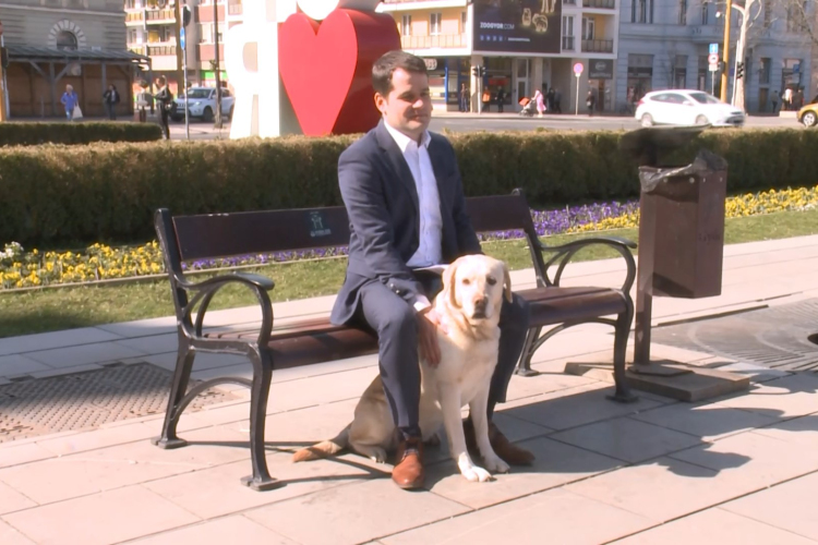 Vasárnapig lehet regisztrálni a kutyákat Győrben