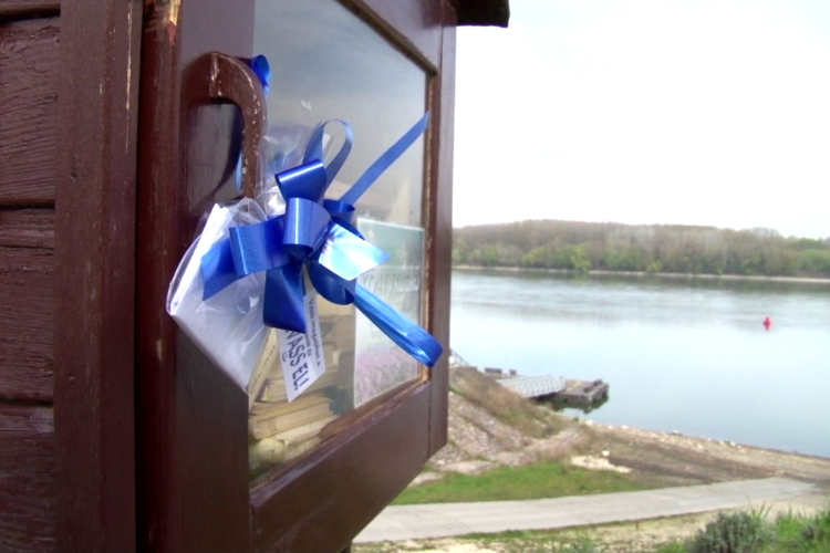 Masnis verscsomagok Gönyűn