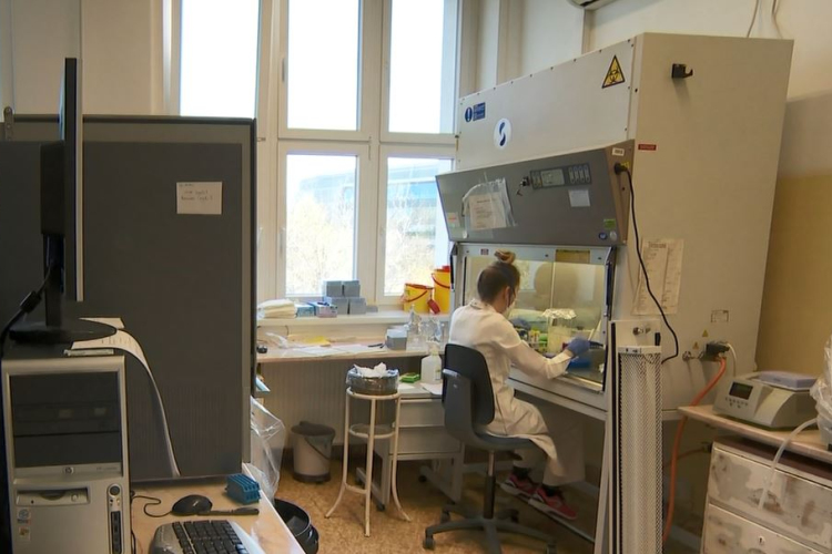 Tovább nőtt a beazonosított koronavírus-fertőzöttek száma és elhunyt 13 beteg