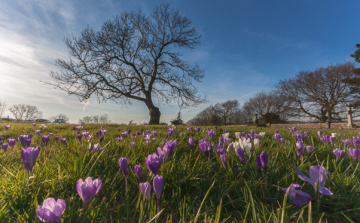 Vasárnap 22 fok is lehet