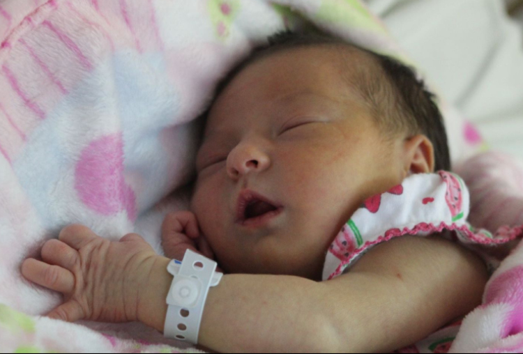 Horváth Szonja Larissza 