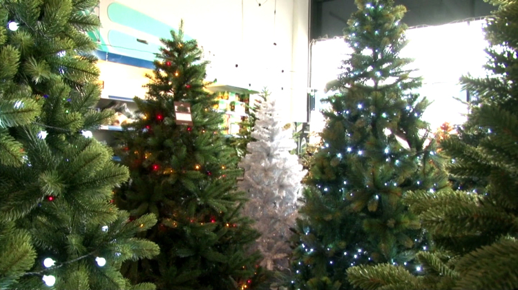 Egyre drágábbak a műfenyők