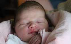 Németi Zselyke Léna 