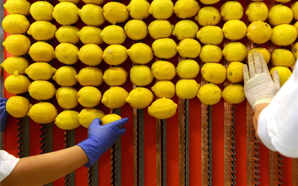 Guinness-kísérlet citrommal