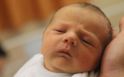 Máder-Csuthy Iconor 