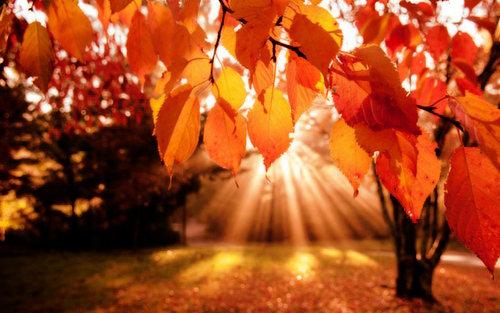 A héten ismét 25 fok körüli maximumok várhatók