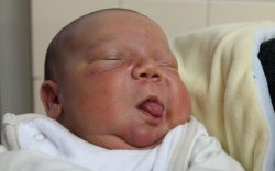 Konstantin Aleksidze